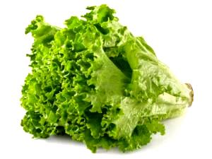 1/4 Head Green Leaf Lettuce, Raw