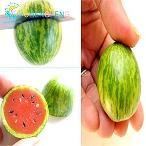 1/4 medium melon (134 g) Mini Watermelon