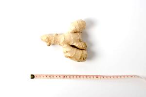 1/4 tsp (0.6 g) Asian Ginger