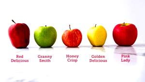 1 apple (5.5 oz) Granny Smith Apple (Medium)