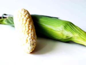 1 Baby Ear Cooked White Corn (Canned)