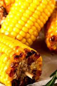 1 Baby Ear Cooked Yellow Corn (from Fresh, Fat Not Added in Cooking)