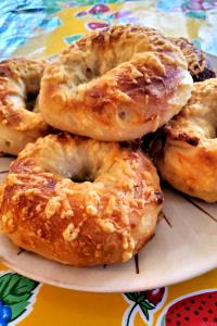 1 bagel (6 oz) Asiago Cheese Bagel