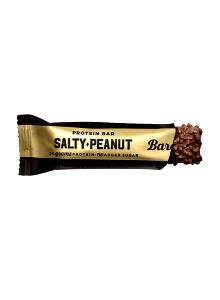 1 bar (55 g) Salty Peanut Protein Bar