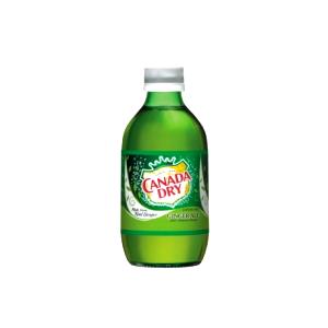 1 bottle (10 oz) Ginger Ale (10 oz)