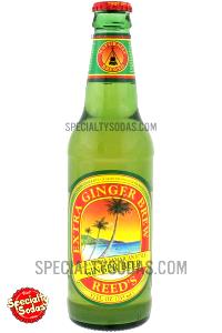 1 bottle (12 oz) Extra Ginger Brew Light