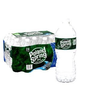1 bottle (16.9 oz) Natural Spring Water (16.9 oz)