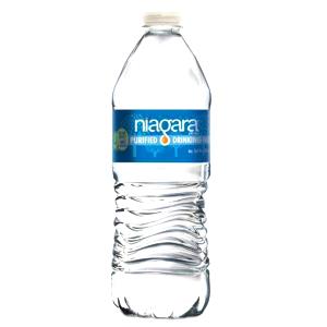 1 bottle (16.9 oz) Purified Drinking Water