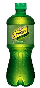1 bottle (20 oz) Ginger Ale (20 oz)