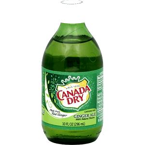 1 bottle (296 ml) Ginger Ale