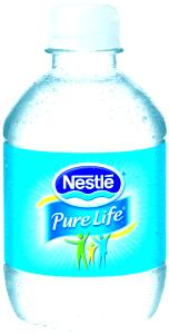1 bottle (296 ml) Purified Water