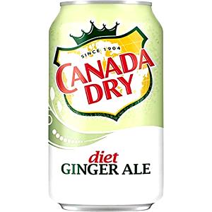 1 bottle (355 ml) Diet Ginger Ale