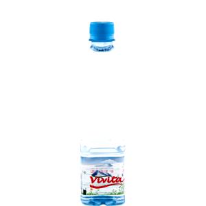 1 Bottle (500.0 Ml) Table Water