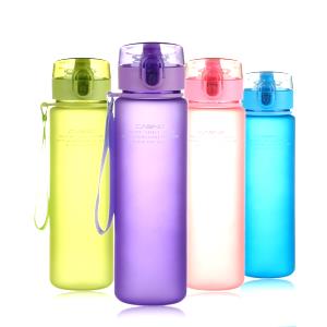 1 bottle (560 ml) Bottled Water
