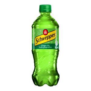 1 bottle (591 ml) Ginger Ale & Lemonade (Bottle)