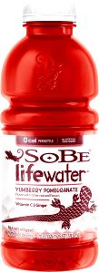 1 bottle (591 ml) Lifewater Yumberry Pomegranate (Bottle)