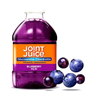 1 bottle (8 oz) Glucosamine Chondrotin - Blueberry Acai
