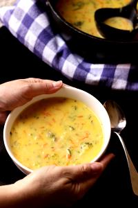 1 bowl (296 g) Vegetable Cheese Soup (Bowl)