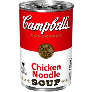 1 bowl (305 g) Chicken Noodle Soup (Bowl)