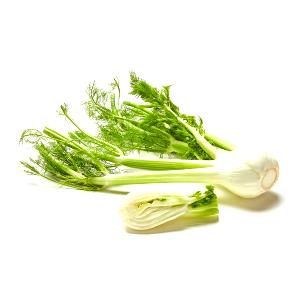 1 Bulb Fennel Bulk