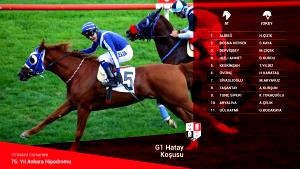 1 bun (75 g) One Bun