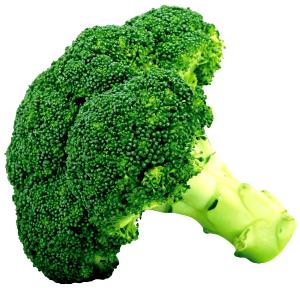 1 Bunch Broccoli