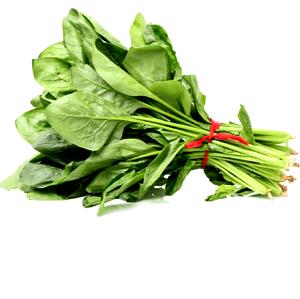 1 Bunch Spinach