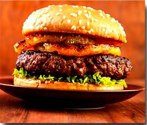 1 burger 1/2 lb Buffalo Burger