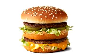 1 Burger (219.0 G) Big Mac, McDonald