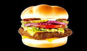 1 burger (251 g) Dave