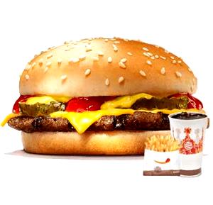 1 burger (303 g) Cheeseburger