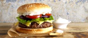 1 burger Cheeseburger with Mayonnaise