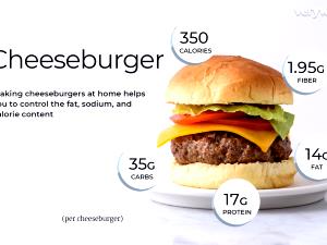 1 burger Plain Cheeseburger