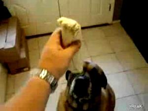 1 burrito Bubba Burrito