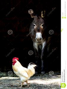 1 burro (376 g) California Burro with Chicken