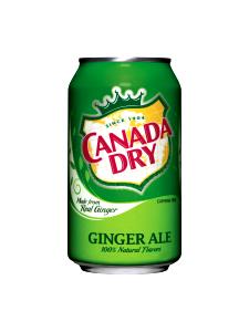 1 can (12 oz) Big K Ginger Ale