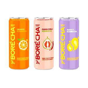 1 can (330 ml) Probiotic Kombucha