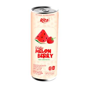 1 can (340 ml) Melon Berry 100% Juiced!