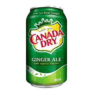 1 can (355 ml) Ginger Ale (Can)