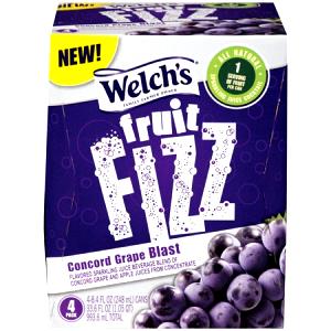 1 can (8.4 oz) Fruit Fizz - Concord Grape Blast