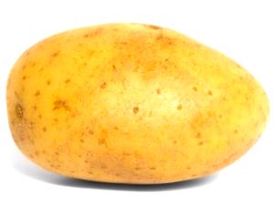 1 Canned Potato (approx 1" Dia) Boiled Potato (without Peel, Fat Added in Cooking)