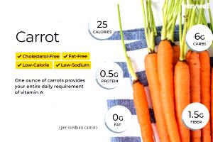 1 Carrot Carrot, Boiled, No Salt