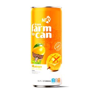 1 carton (250 ml) Mango Juice Drink