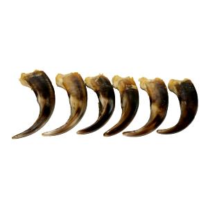 1 claw (2.5 g) Bear Claw