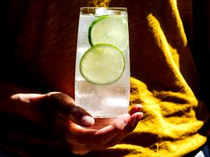 1 Cocktail Gin Rickey
