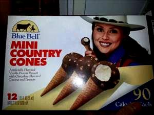 1 cone (28 g) Mini Country Cones