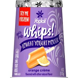 1 container (113 g) Lowfat Whipped Orange Yogurt Mousse