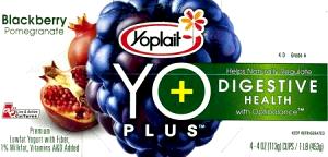 1 container (113 g) YoPlus - Blackberry Pomegranate