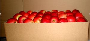 1 container (135 g) Apple & Gruyere Salad