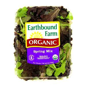 1 container (142 g) Organic Spring Mix Salad